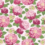Hydrangeas